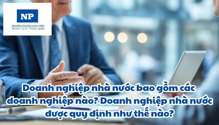 Doanh nghiệp nhà nước bao gồm các doanh nghiệp nào? Doanh nghiệp nhà nước được quy định như thế nào?
