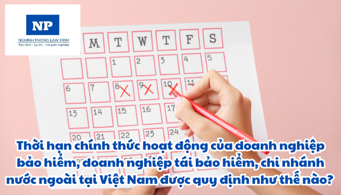 Thời hạn chính thức hoạt động của doanh nghiệp bảo hiểm, doanh nghiệp tái bảo hiểm, chi nhánh nước ngoài tại Việt Nam được quy định như thế nào?