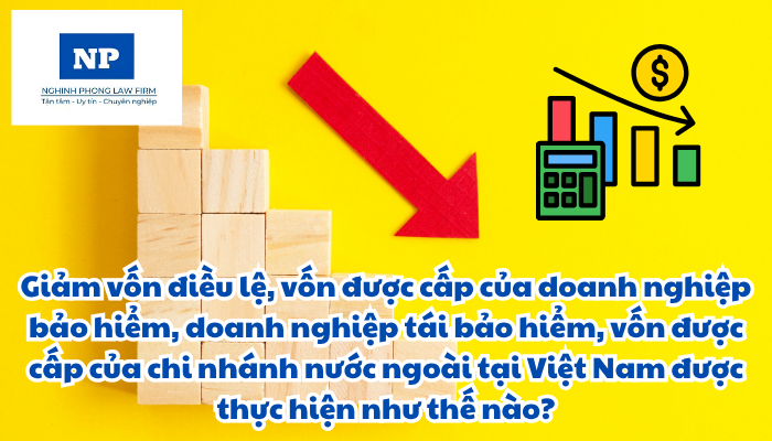 Giảm vốn điều lệ, vốn được cấp của doanh nghiệp bảo hiểm, doanh nghiệp tái bảo hiểm, vốn được cấp của chi nhánh nước ngoài tại Việt Nam được thực hiện như thế nào?
