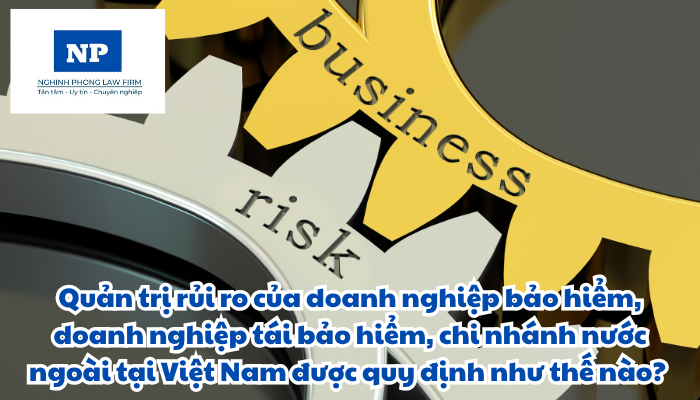 Quản trị rủi ro của doanh nghiệp bảo hiểm, doanh nghiệp tái bảo hiểm, chi nhánh nước ngoài tại Việt Nam được quy định như thế nào? Tổ chức và hoạt động quản trị rủi ro được thực hiện ra sao?