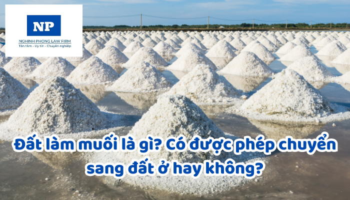 Đất làm muối là gì? Có được phép chuyển sang đất ở hay không?