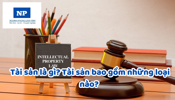 Tài sản là gì? Tài sản bao gồm những loại nào? Quyền sở hữu tài sản là những quyền gì và được xác lập trong trường hợp nào?