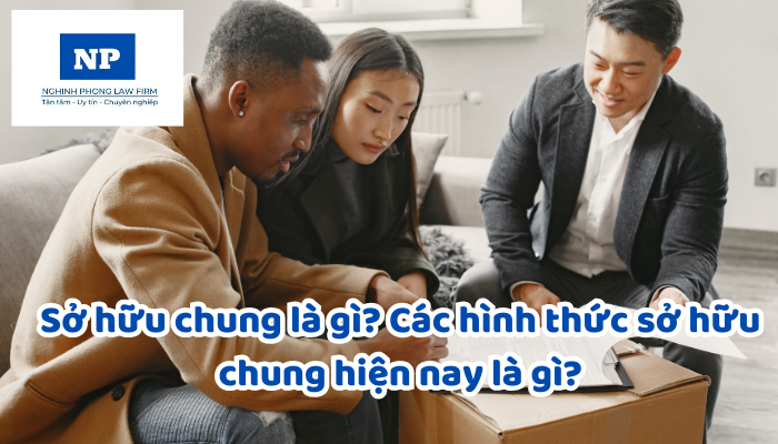 Sở hữu chung là gì? Các hình thức sở hữu chung hiện nay là gì?