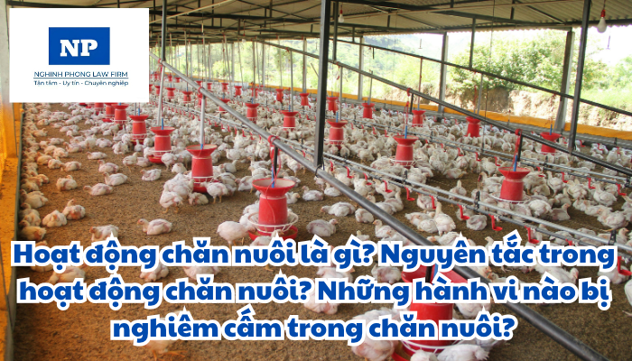 Hoạt động chăn nuôi là gì? Nguyên tắc hoạt động chăn nuôi và các hành vi nào bị nghiêm cấm trong chăn nuôi?