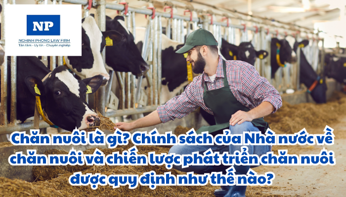 Chăn nuôi là gì? Chính sách của Nhà nước về chăn nuôi và chiến lược phát triển chăn nuôi được quy định như thế nào?