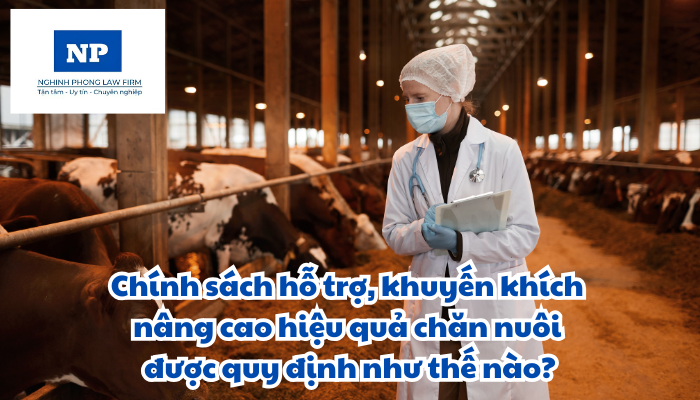 Chính sách hỗ trợ, khuyến khích nâng cao hiệu quả chăn nuôi được quy định như thế nào?