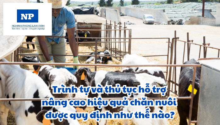 Trình tự và thủ tục hỗ trợ nâng cao hiệu quả chăn nuôi được quy định như thế nào?