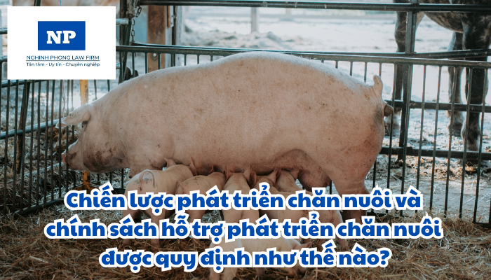 Chiến lược phát triển chăn nuôi và chính sách hỗ trợ phát triển chăn nuôi được quy định như thế nào?