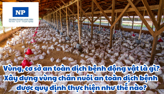 Vùng, cơ sở an toàn dịch bệnh động vật là gì? An toàn sinh học trong chăn nuôi là gì? Giám sát dịch bệnh động vật là gì? Xây dựng vùng chăn nuôi an toàn dịch bệnh được quy định thực hiện như thế nào?