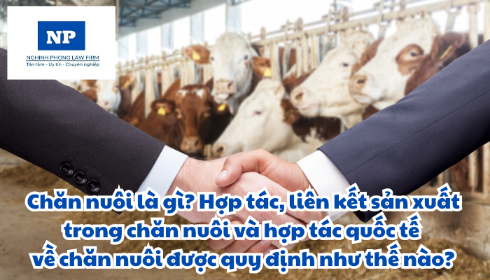Chăn nuôi là gì? Hợp tác, liên kết sản xuất trong chăn nuôi và hợp tác quốc tế về chăn nuôi được quy định như thế nào?