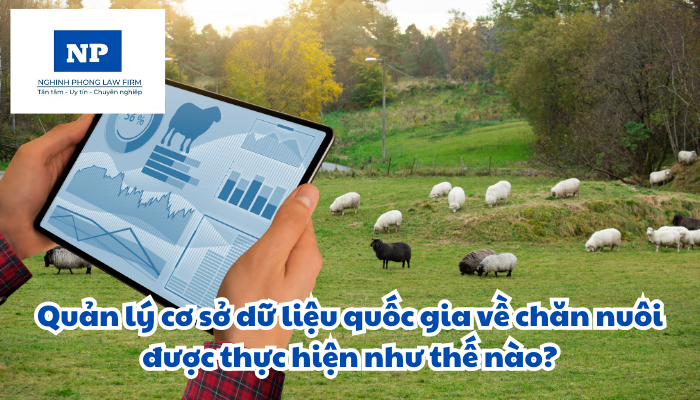 Quản lý cơ sở dữ liệu quốc gia về chăn nuôi được thực hiện như thế nào?