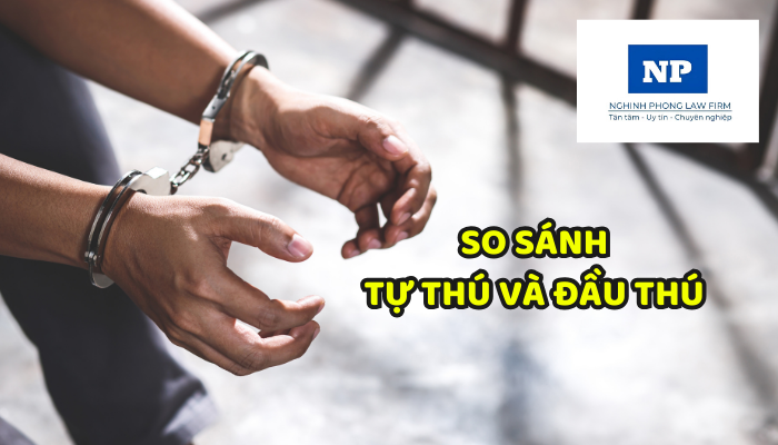 So sánh tự thú và đầu thú?