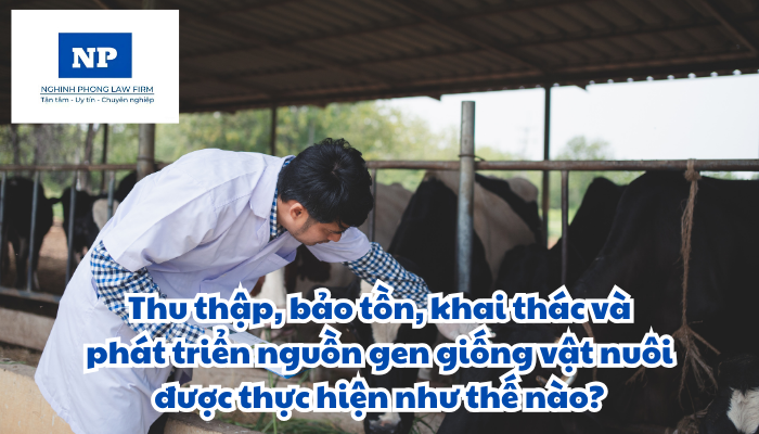 Thu thập, bảo tồn, khai thác và phát triển nguồn gen giống vật nuôi và quy định về thu thập, bảo tồn, khai thác, phát triển nguồn gen giống vật nuôi được thực hiện như thế nào?