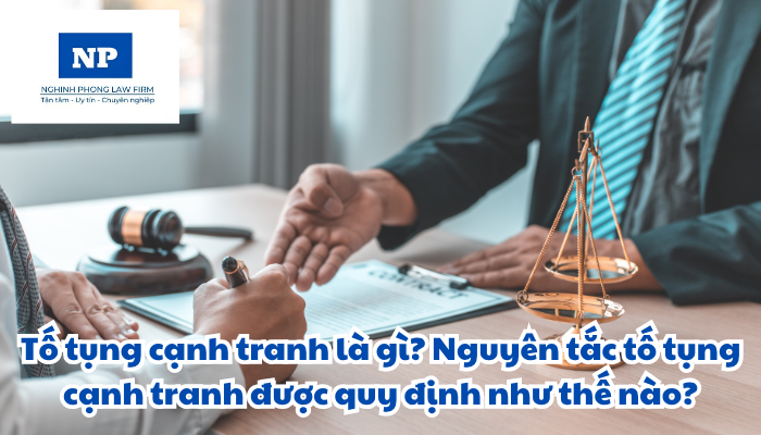 Tố tụng cạnh tranh là gì? Nguyên tắc tố tụng cạnh tranh được quy định như thế nào?