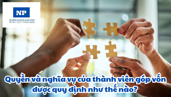 Quyền và nghĩa vụ của thành viên góp vốn được quy định như thế nào?
