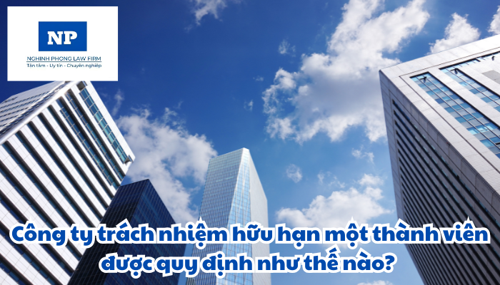 Công ty trách nhiệm hữu hạn một thành viên được quy định như thế nào?