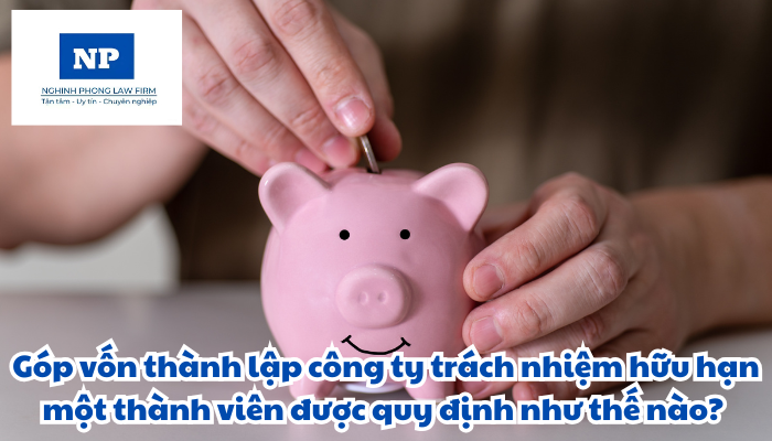 Góp vốn thành lập công ty trách nhiệm hữu hạn một thành viên được quy định như thế nào? Giấy tờ chứng minh việc góp vốn bao gồm những loại nào?