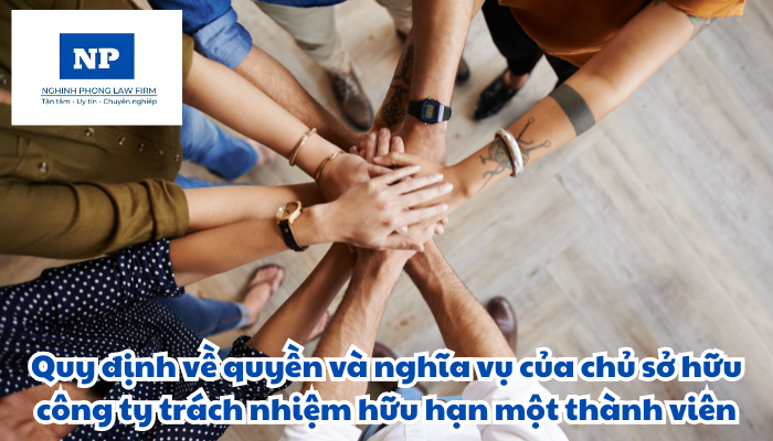 Quyền và nghĩa vụ của chủ sở hữu công ty trách nhiệm hữu hạn một thành viên được quy định như thế nào?