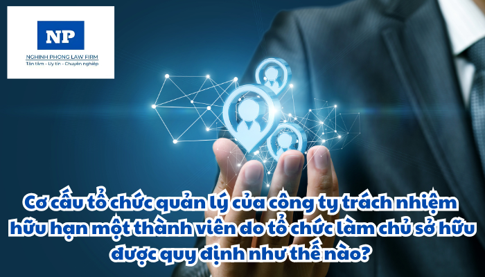 Cơ cấu tổ chức quản lý của công ty trách nhiệm hữu hạn một thành viên do tổ chức làm chủ sở hữu được quy định như thế nào?