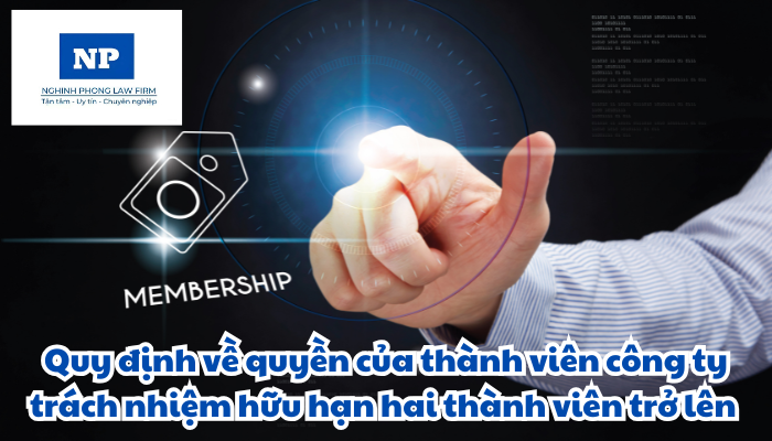 Quyền của thành viên công ty trách nhiệm hữu hạn hai thành viên trở lên được quy định như thế nào?