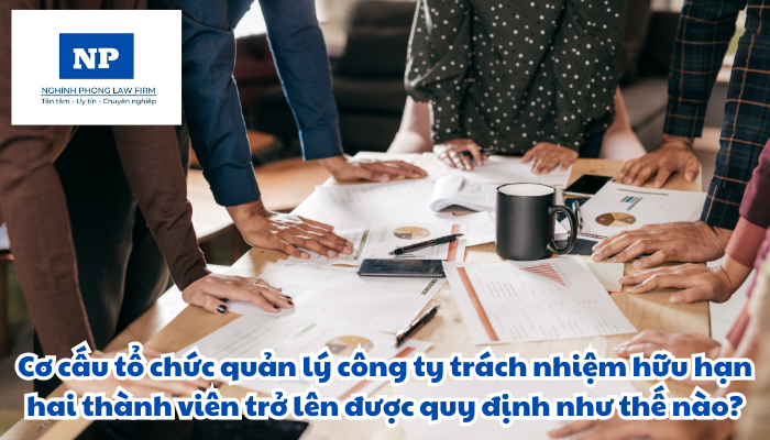 Cơ cấu tổ chức quản lý công ty trách nhiệm hữu hạn hai thành viên trở lên được quy định như thế nào?