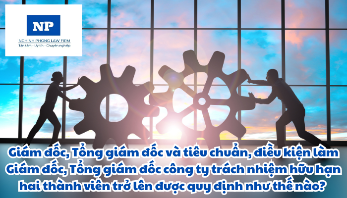 Giám đốc, Tổng giám đốc và tiêu chuẩn, điều kiện làm Giám đốc, Tổng giám đốc công ty trách nhiệm hữu hạn hai thành viên trở lên được quy định như thế nào?