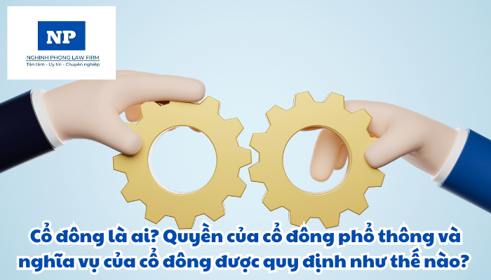 Cổ đông là ai? Quyền của cổ đông phổ thông và nghĩa vụ của cổ đông được quy định như thế nào?