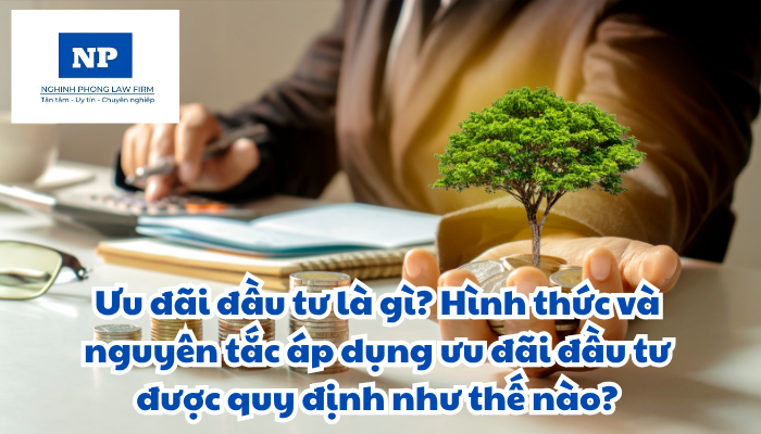 Ưu đãi đầu tư là gì? Hình thức và nguyên tắc áp dụng ưu đãi đầu tư được quy định như thế nào?
