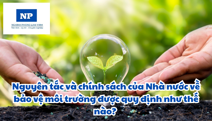 Nguyên tắc và chính sách của Nhà nước về bảo vệ môi trường được quy định như thế nào?