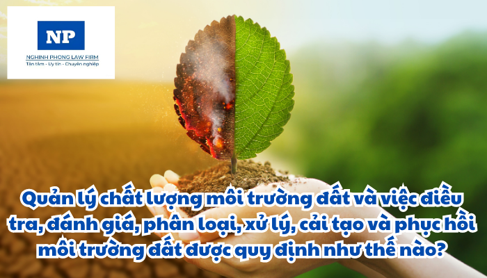 Quản lý chất lượng môi trường đất và việc điều tra, đánh giá, phân loại, xử lý, cải tạo và phục hồi môi trường đất được quy định như thế nào?