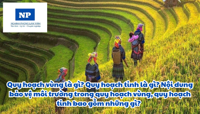 Quy hoạch vùng là gì? Quy hoạch tỉnh là gì? Nội dung bảo vệ môi trường trong quy hoạch vùng, quy hoạch tỉnh bao gồm những gì?