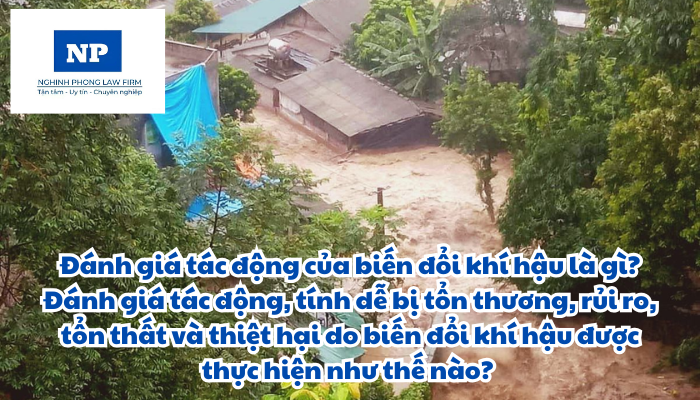 Đánh giá tác động của biến đổi khí hậu là gì? Đánh giá tác động, tính dễ bị tổn thương, rủi ro, tổn thất và thiệt hại do biến đổi khí hậu được thực hiện như thế nào?
