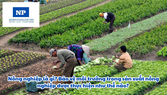 Nông nghiệp là gì? Bảo vệ môi trường trong sản xuất nông nghiệp được thực hiện như thế nào?