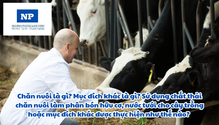Chăn nuôi là gì? Mục đích khác là gì? Sử dụng chất thải chăn nuôi làm phân bón hữu cơ, nước tưới cho cây trồng hoặc mục đích khác được thực hiện như thế nào?