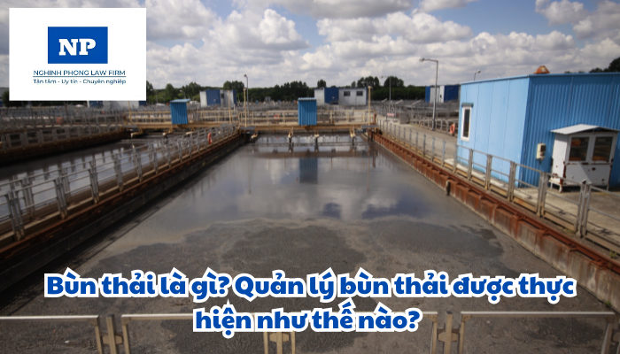 Bùn thải là gì? Quản lý bùn thải được thực hiện như thế nào?