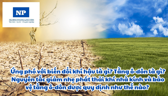 Ứng phó với biến đổi khí hậu là gì? Tầng ô-dôn là gì? Nguyên tắc giảm nhẹ phát thải khí nhà kính và bảo vệ tầng ô-dôn được quy định như thế nào?