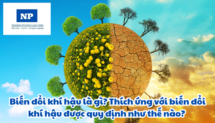 Biến đổi khí hậu là gì? Thích ứng với biến đổi khí hậu được quy định như thế nào?