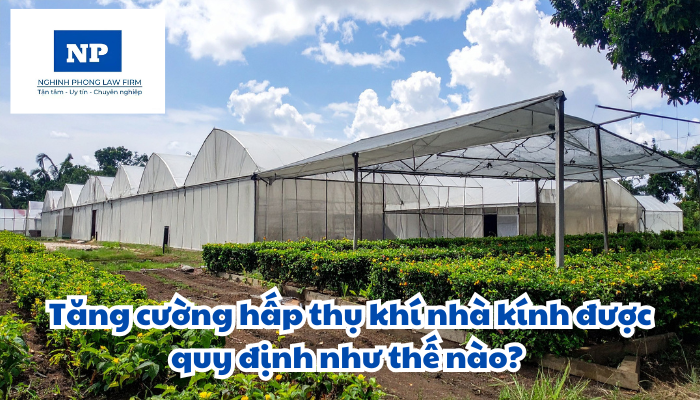 Tăng cường hấp thụ khí nhà kính được quy định như thế nào?