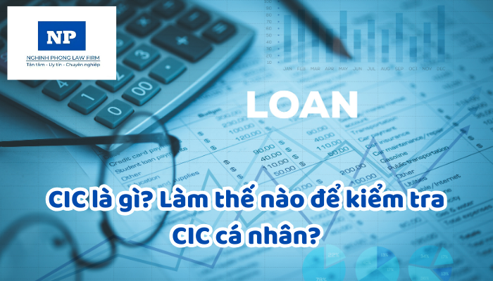 CIC là gì? Làm thế nào để kiểm tra CIC cá nhân?