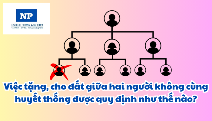Việc tặng, cho đất giữa hai người không cùng huyết thống được quy định như thế nào?