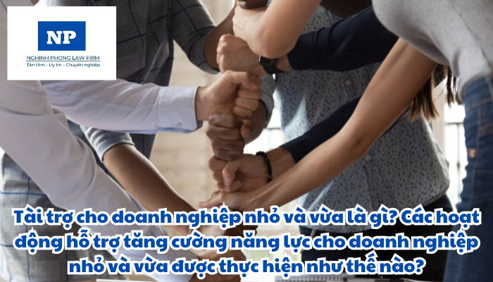 Tài trợ cho doanh nghiệp nhỏ và vừa là gì? Các hoạt động hỗ trợ tăng cường năng lực cho doanh nghiệp nhỏ và vừa được thực hiện như thế nào?