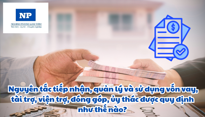 Vốn vay là gì? Tài trợ là gì? Viện trợ là gì? Đóng góp không hoàn trả là gì? Đóng góp phải hoàn trả là gì? Ủy thác là gì? Nguyên tắc tiếp nhận, quản lý và sử dụng vốn vay, tài trợ, viện trợ, đóng góp, ủy thác được quy định như thế nào?