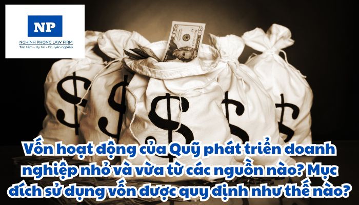 Vốn hoạt động của Quỹ phát triển doanh nghiệp nhỏ và vừa từ các nguồn nào? Mục đích sử dụng vốn được quy định như thế nào?
