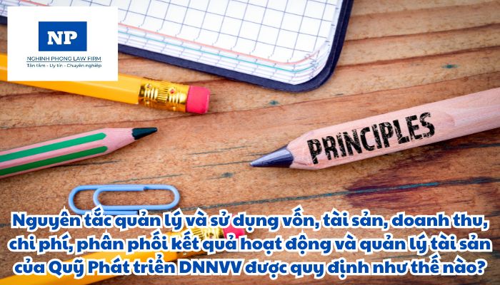 Nguyên tắc quản lý và sử dụng vốn, tài sản, doanh thu, chi phí, phân phối kết quả hoạt động và quản lý tài sản của Quỹ phát triển doanh nghiệp nhỏ và vừa được quy định như thế nào?