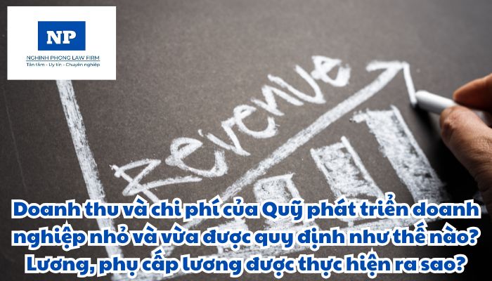 Phân phối kết quả tài chính của Quỹ phát triển doanh nghiệp nhỏ và vừa được quy định như thế nào? Quản lý và sử dụng các quỹ được thực hiện ra sao?