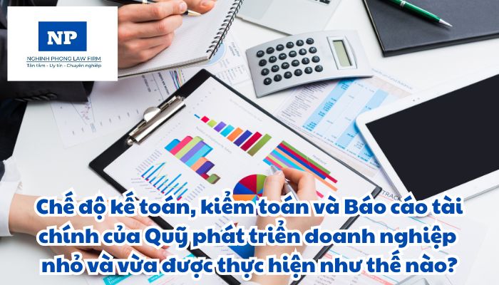 Chế độ kế toán là gì? Báo cáo kiểm toán của Kiểm toán nhà nước là gì? Báo cáo tài chính là gì? Chế độ kế toán, kiểm toán và Báo cáo tài chính của Quỹ phát triển doanh nghiệp nhỏ và vừa được thực hiện như thế nào?