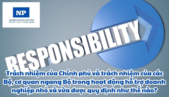 Trách nhiệm của Chính phủ và trách nhiệm của các Bộ, cơ quan ngang Bộ trong hoạt động hỗ trợ doanh nghiệp nhỏ và vừa được quy định như thế nào?