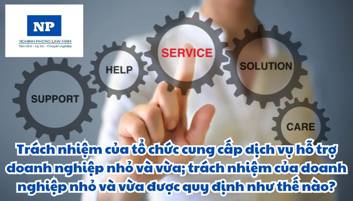 Trách nhiệm của tổ chức cung cấp dịch vụ hỗ trợ doanh nghiệp nhỏ và vừa; trách nhiệm của doanh nghiệp nhỏ và vừa ợ được quy định như thế nào?