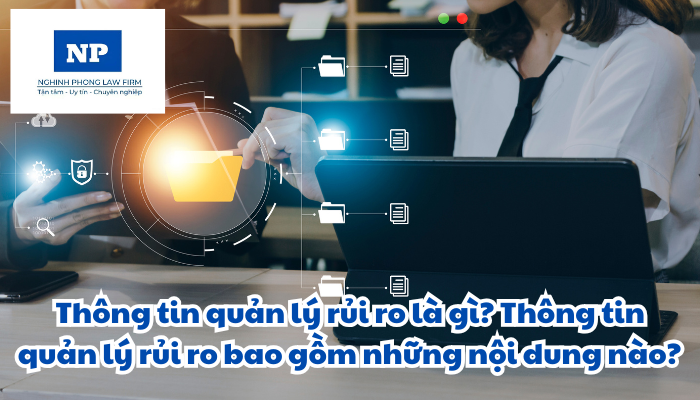 Thông tin quản lý rủi ro là gì? Thông tin quản lý rủi ro bao gồm những nội dung nào?