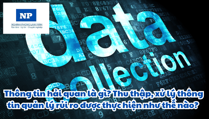 Thông tin hải quan là gì? Thu thập, xử lý thông tin quản lý rủi ro được thực hiện như thế nào?